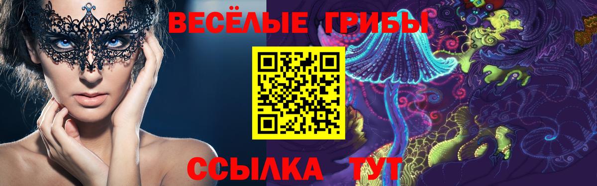 Галлюциногенные грибы прущие грибы  Вход с VPN  Новокуйбышевск 
